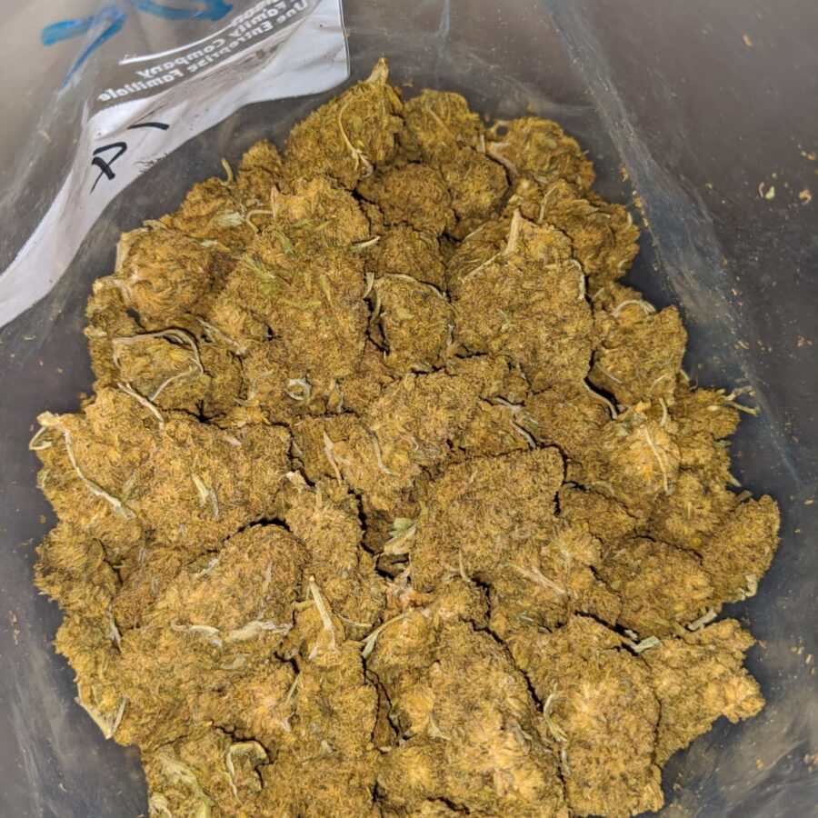 black kush aa 4 I Black Kush AA+