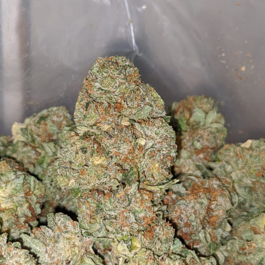 bubba wreck 1 I Bubba Wreck