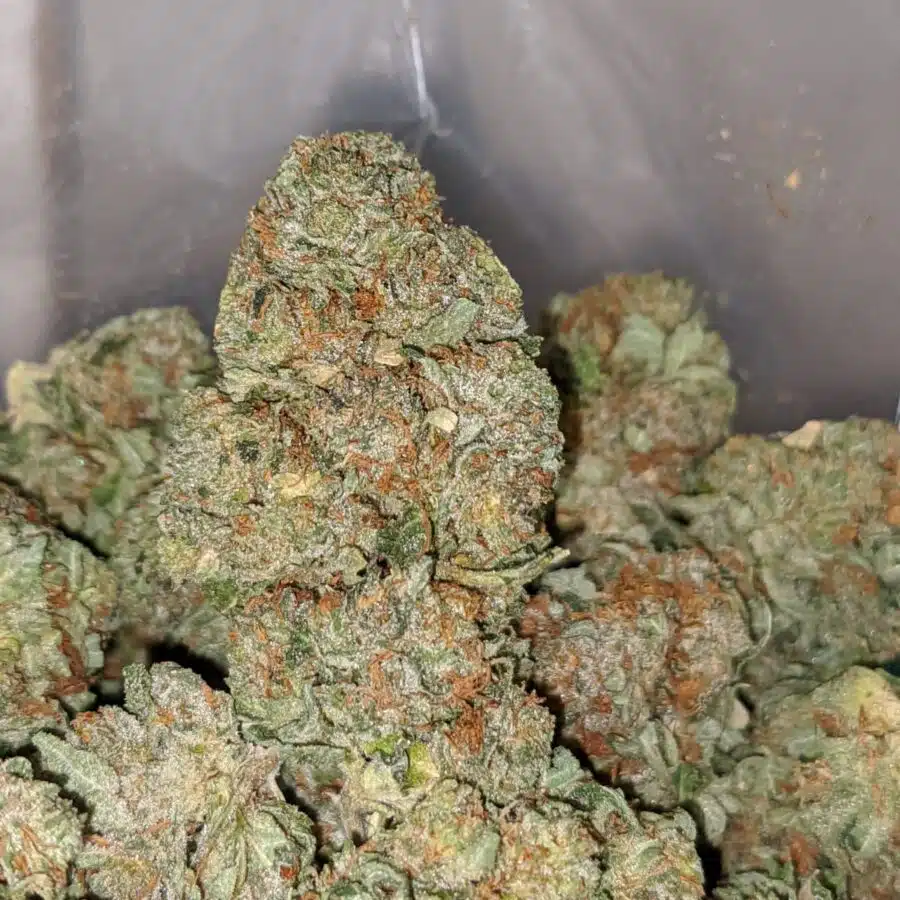 bubba wreck 2 I Bubba Wreck