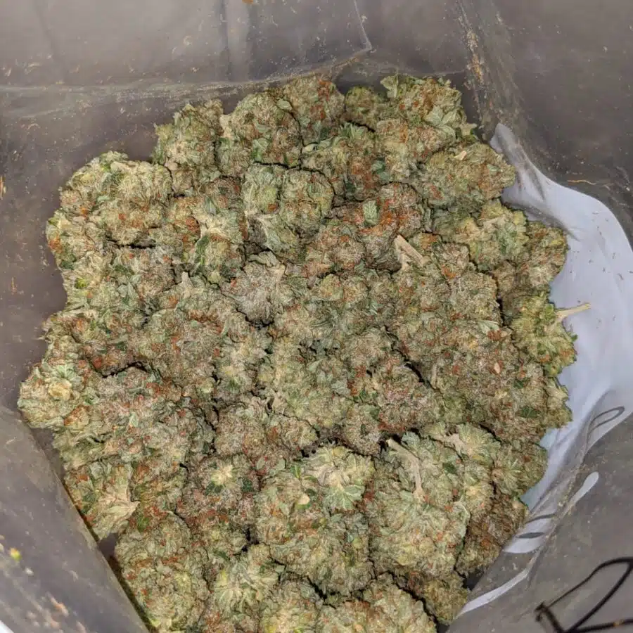 bubba wreck 3 I Bubba Wreck