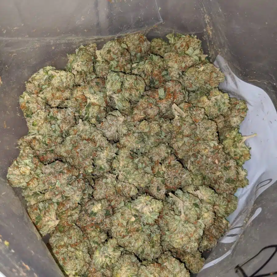 bubba wreck 4 I Bubba Wreck