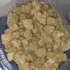 Emma's Cactus Breath