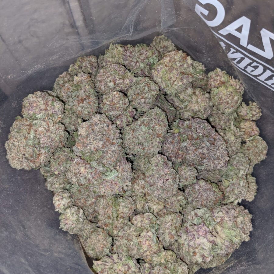 durban poison 3 I White Magic
