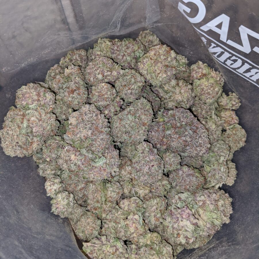 durban poison 4 I White Magic