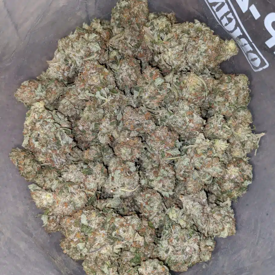 egb 3 I Emma's Gas Bubba