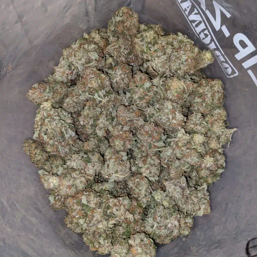 egb 4 I Emma's Gas Bubba