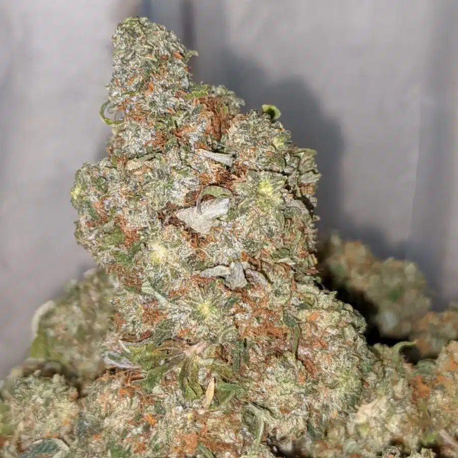 emma l o g 1 I Walter White Bubba - *Deal Of The Day*