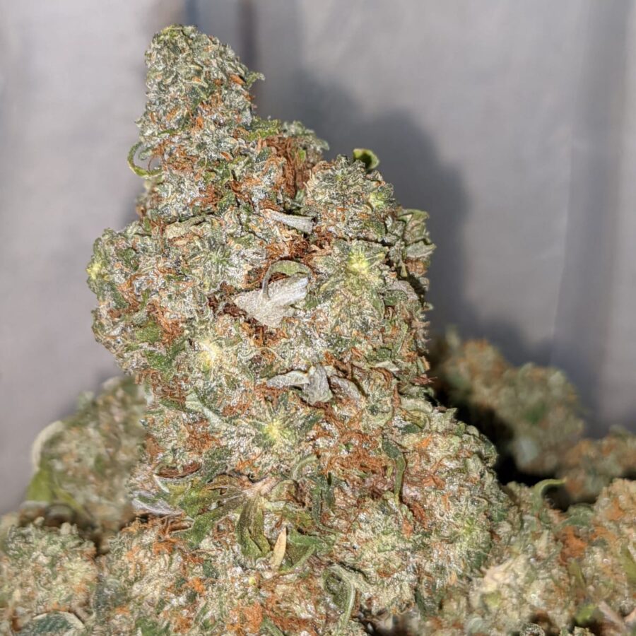 emma l o g 2 I Walter White Bubba - *Deal Of The Day*