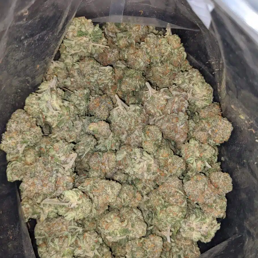 fire bubba 1 I Fire Bubba