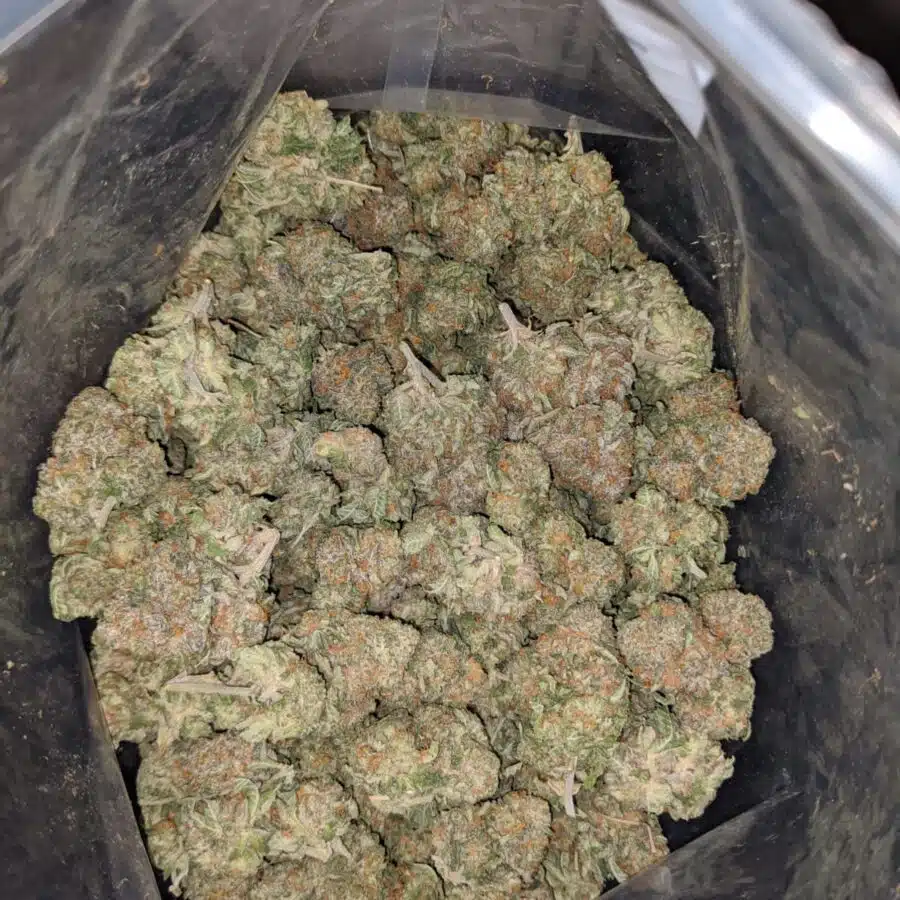 fire bubba 2 I Fire Bubba