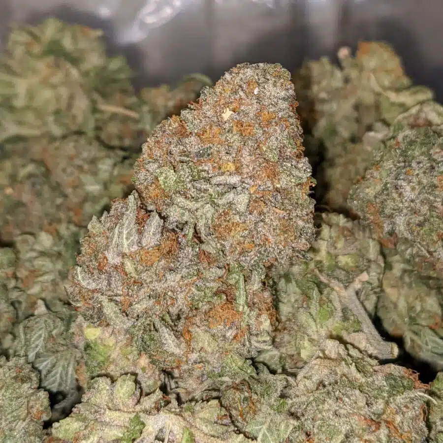 fire bubba 3 I Fire Bubba