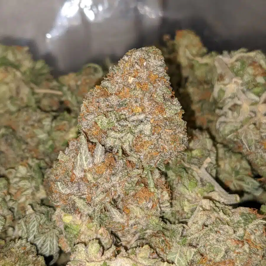 fire bubba 4 I Fire Bubba