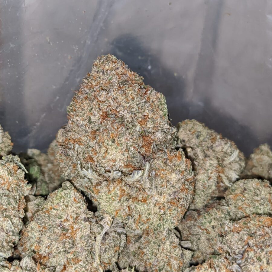 grease monkey aaa 1 I Grease Monkey AAA
