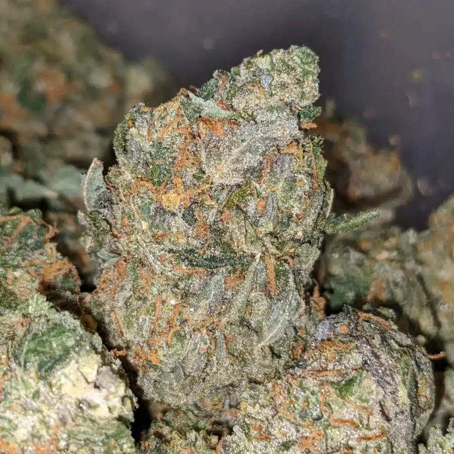 jedi og dod 1 I Jedi OG - *Deal Of The Day*