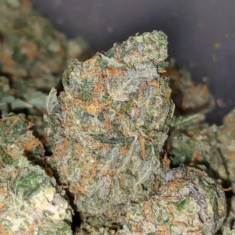 jedi og dod 2 I Jedi OG - *Deal Of The Day*