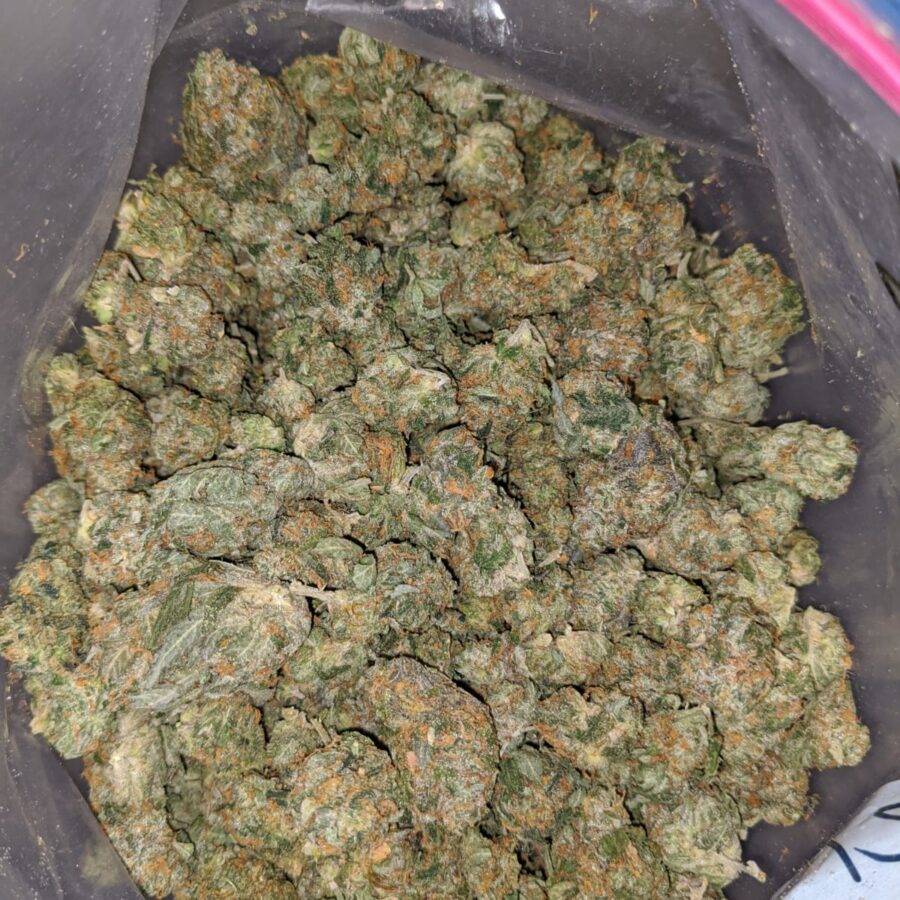 jedi og dod 3 I Jedi OG - *Deal Of The Day*