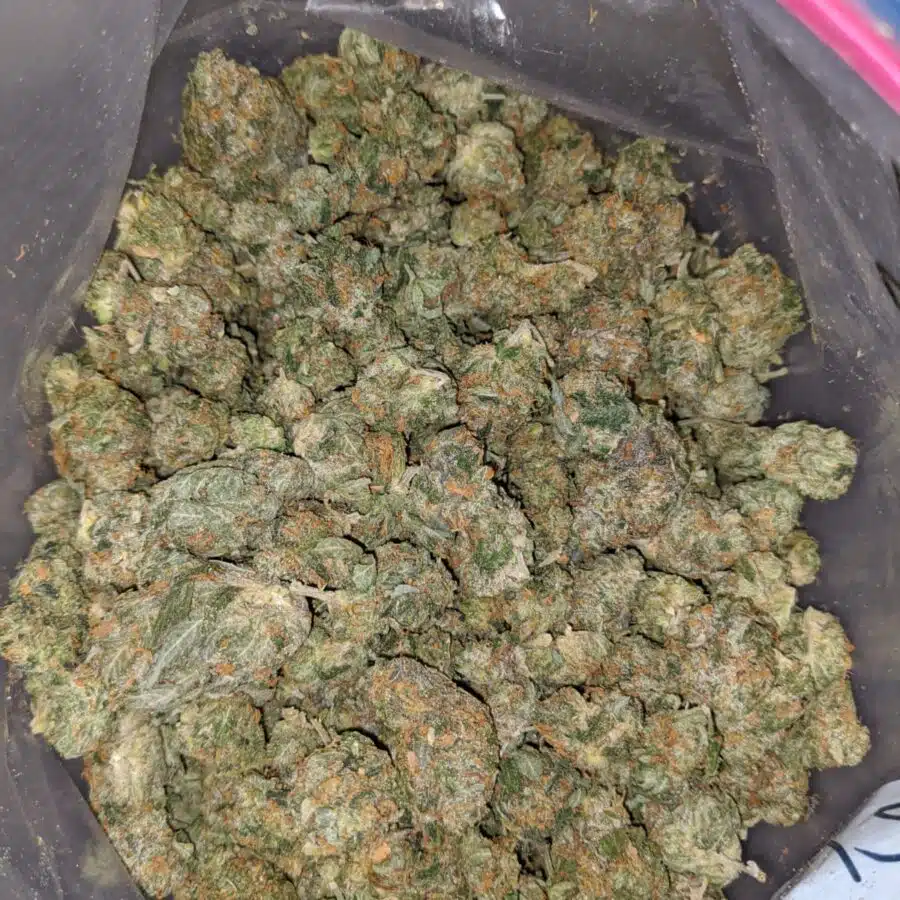 jedi og dod 3 I Jedi OG - *Deal Of The Day*