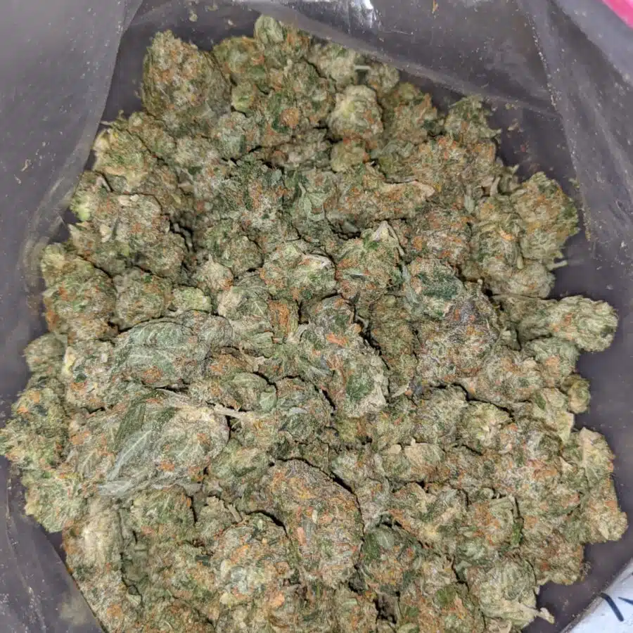 jedi og dod 4 I Jedi OG - *Deal Of The Day*
