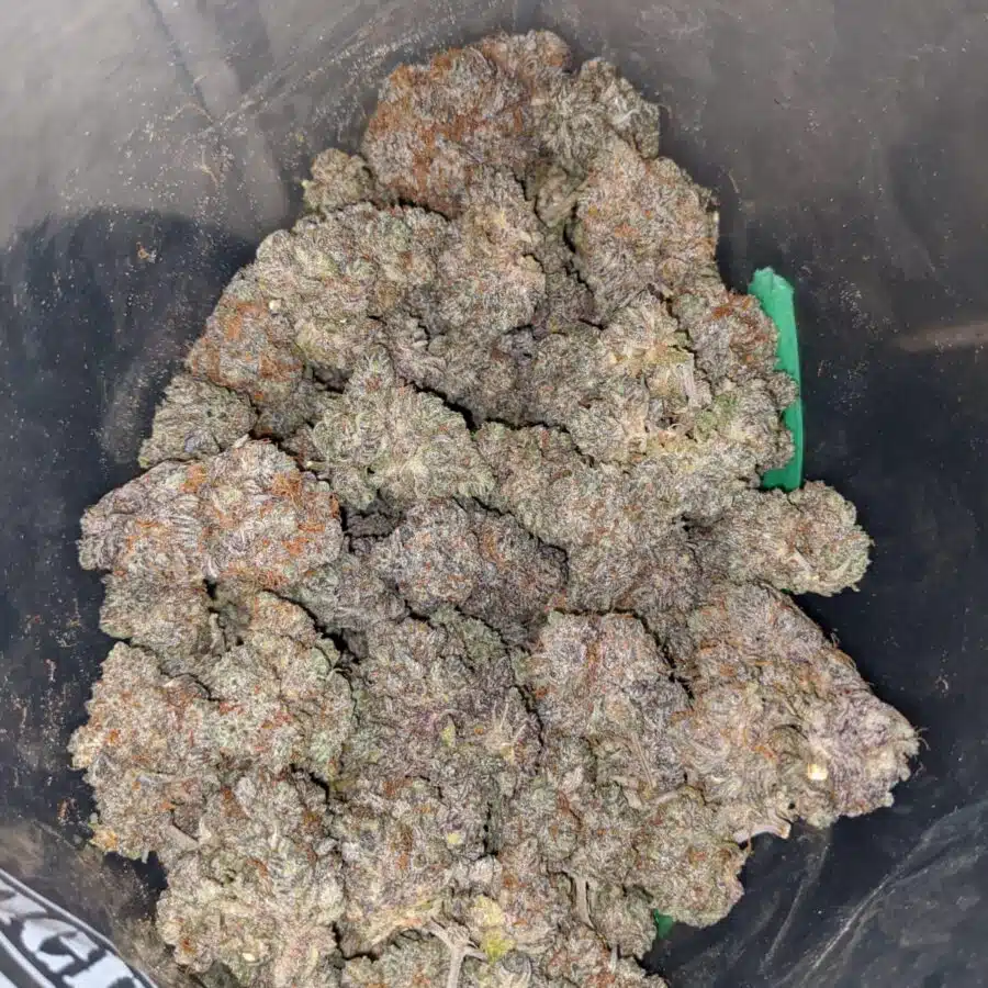 la kush cake 4 I La Kush Cake
