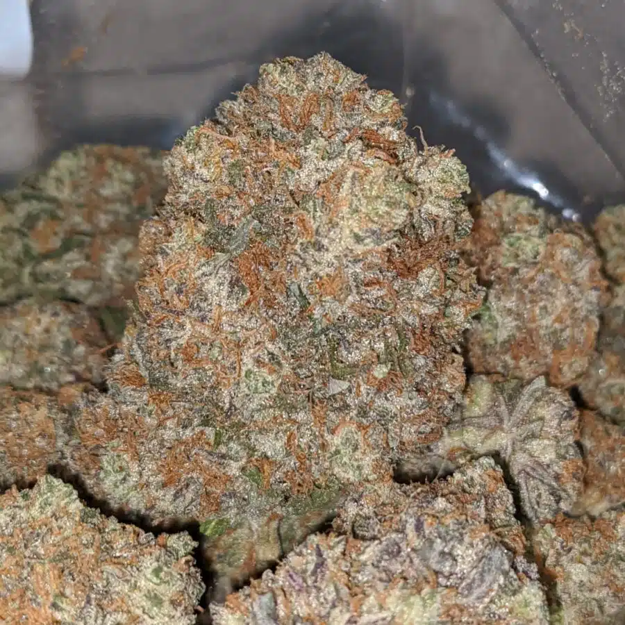 lemon berry cookies 1 I Lemon Berry Cookies