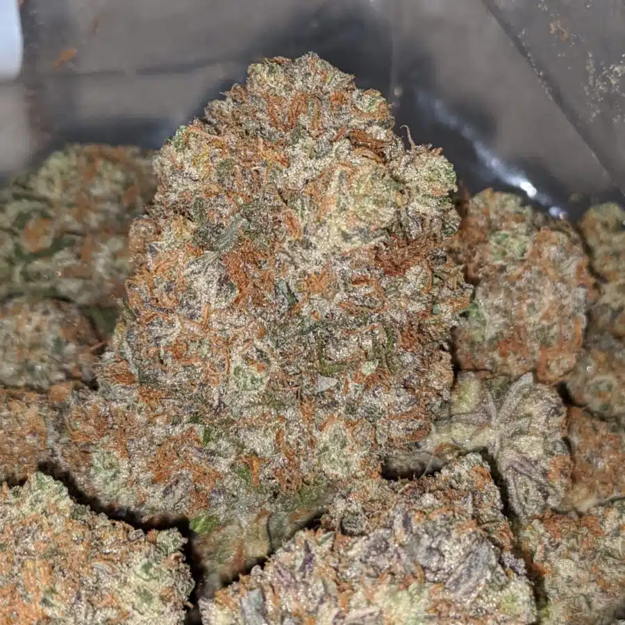 Alternative view of Lemon Berry Cookies
