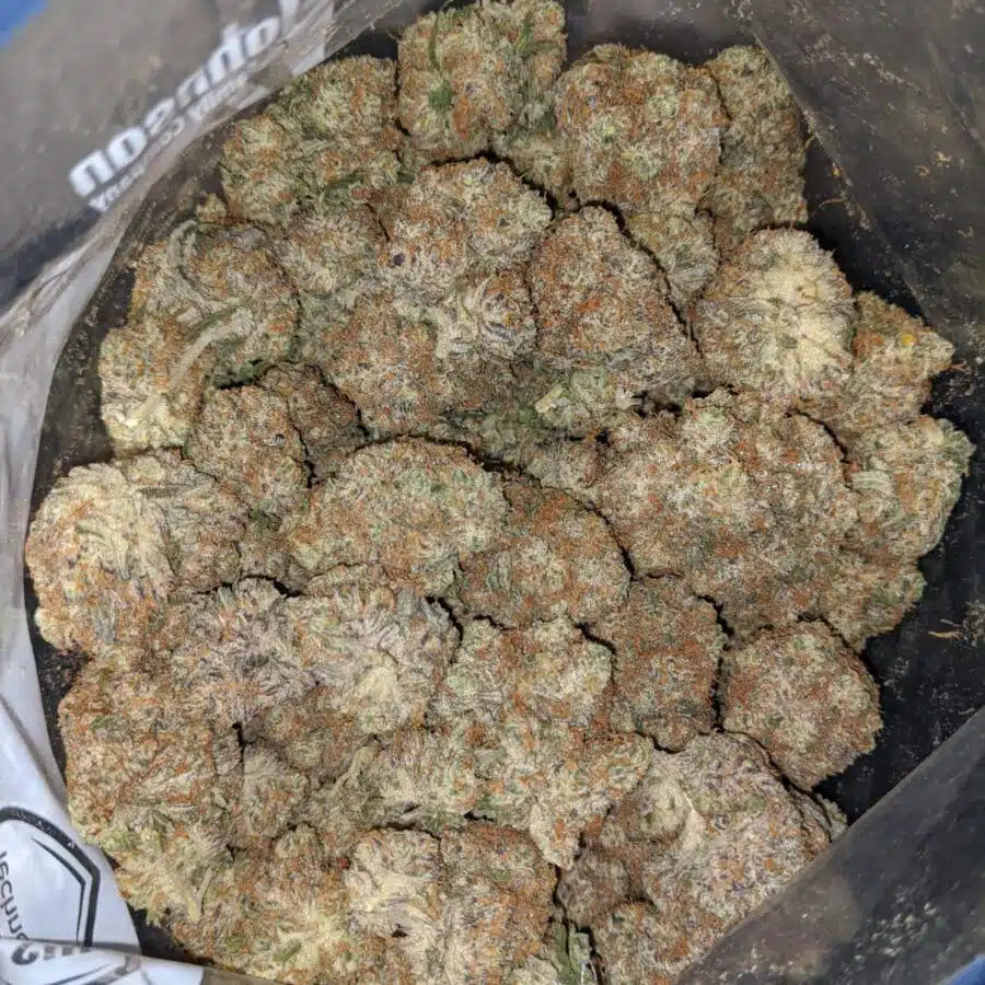 lemon berry cookies 3 I Lemon Berry Cookies