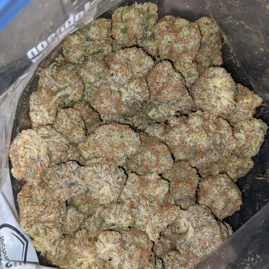 Lemon Berry Cookies