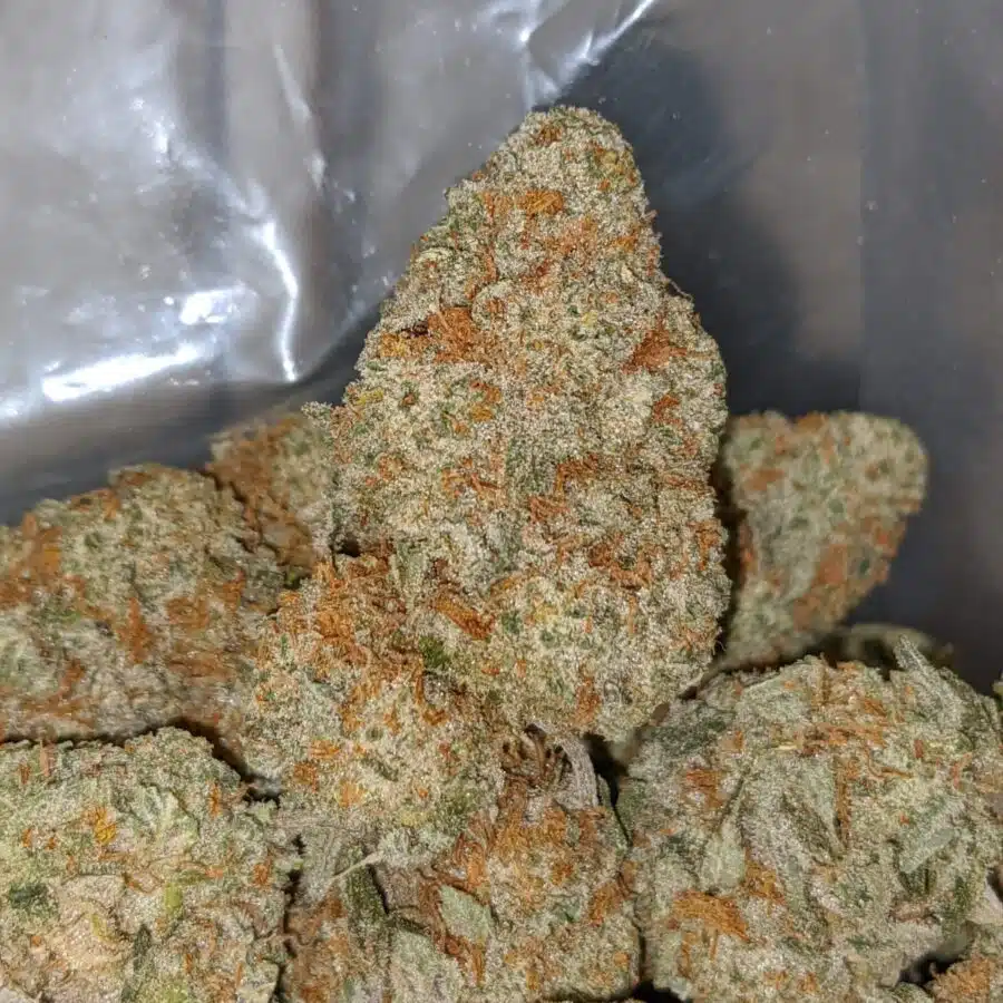 lemon cough 1 I Lemon Cough