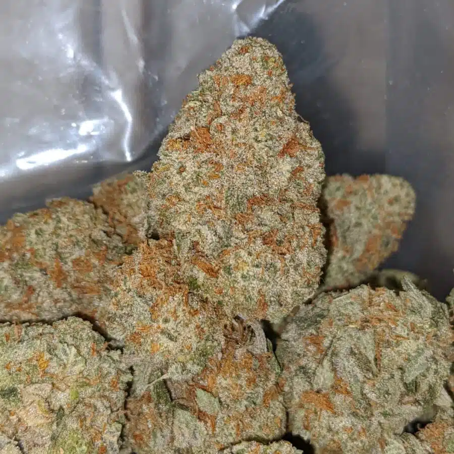 lemon cough 2 I Lemon Cough