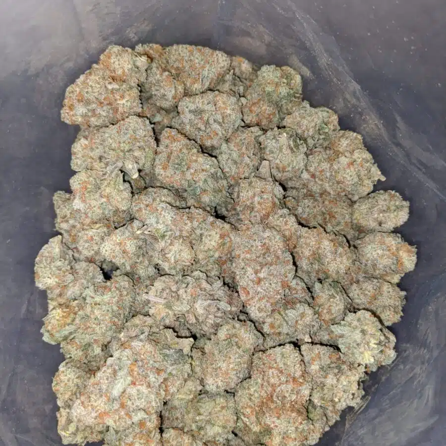 lemon cough 3 I Lemon Cough