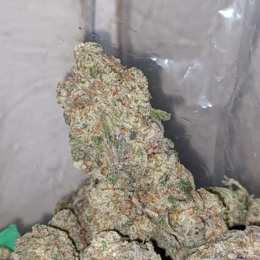 mac10 x georgia pie 1 I Mac 10 x Georgia Pie