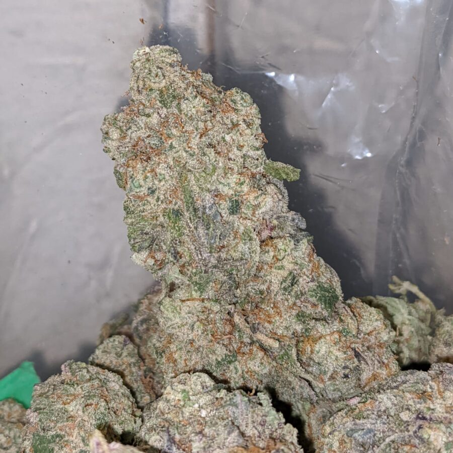 mac10 x georgia pie 2 I Mac 10 x Georgia Pie