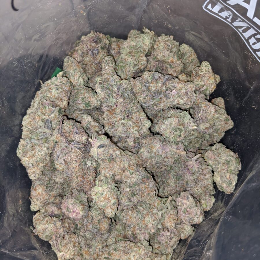 mac10 x georgia pie 3 I Mac 10 x Georgia Pie
