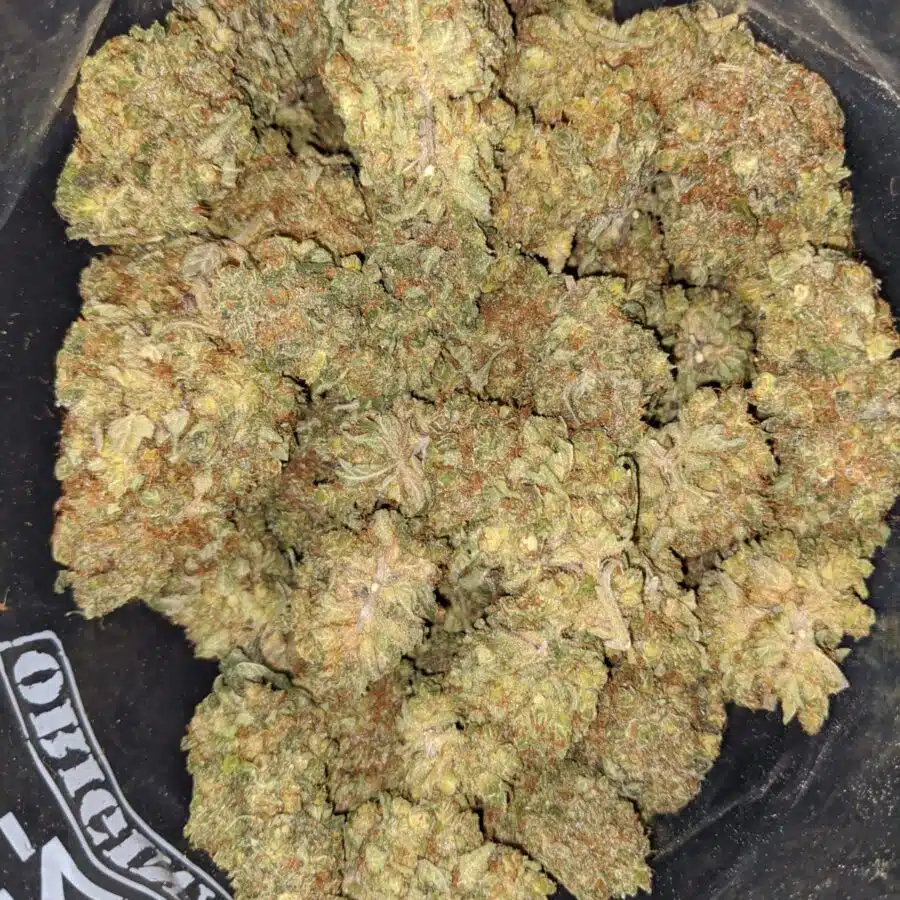 master kush 1 I $ 67 Oz - Masterkush