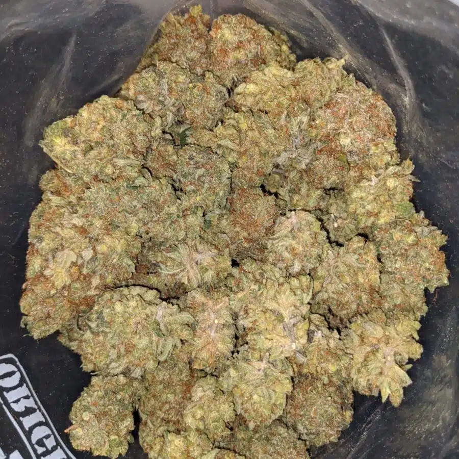 master kush 2 I $ 67 Oz - Masterkush