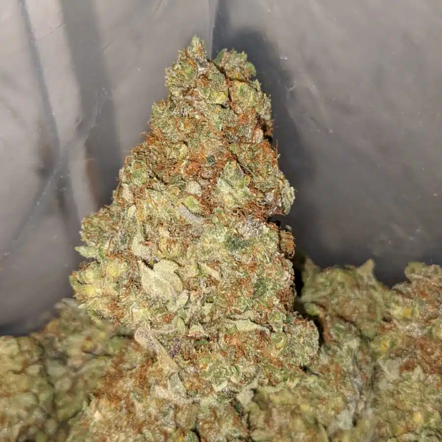 master kush 3 I $ 67 Oz - Masterkush