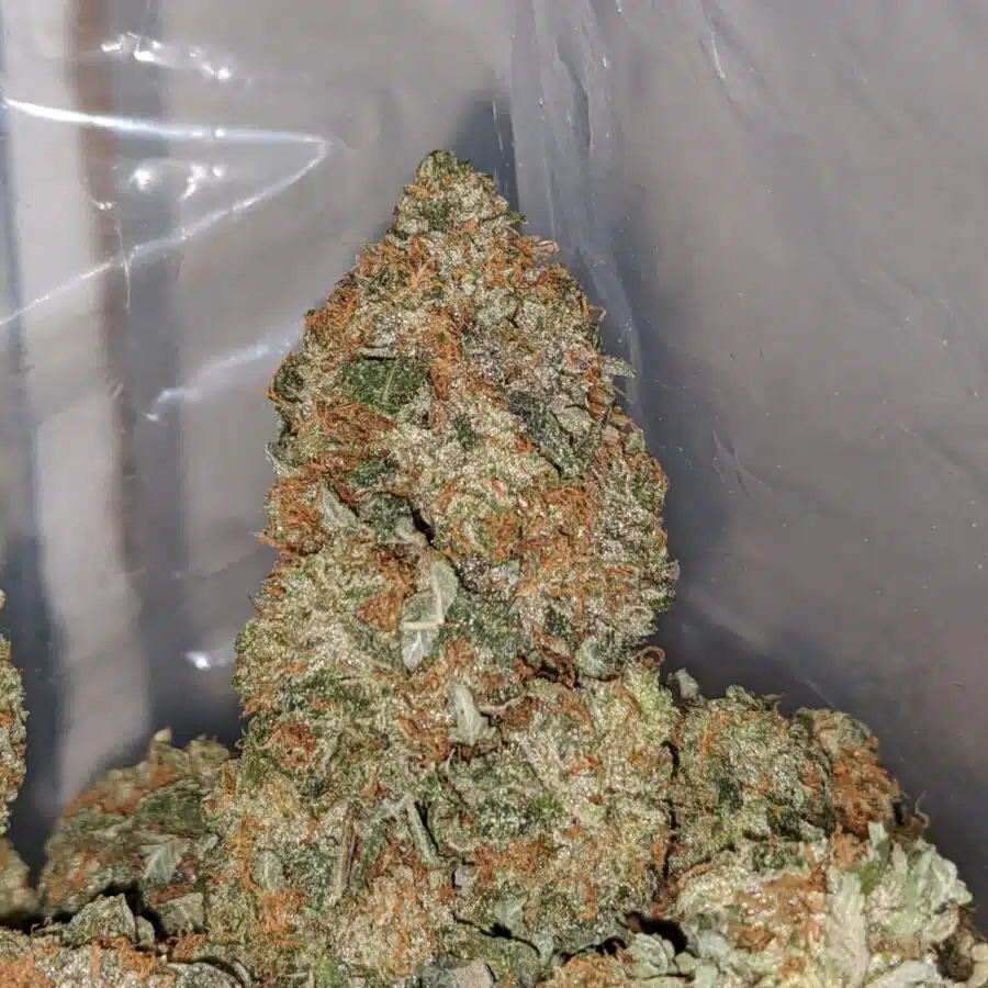 og kush aaa 2 I Master OG