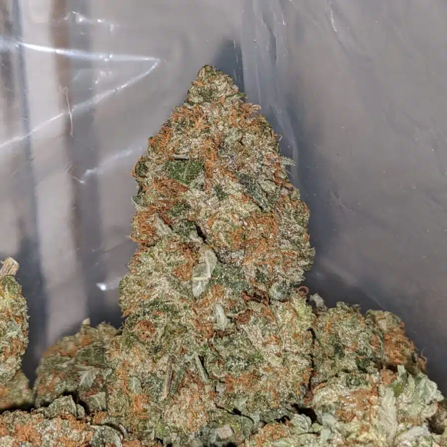 og kush aaa 3 I Master OG