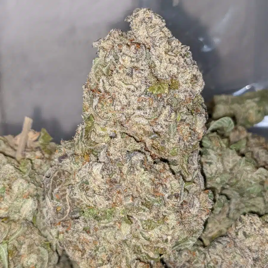 pineapple crack 1 I Pineapple Crack