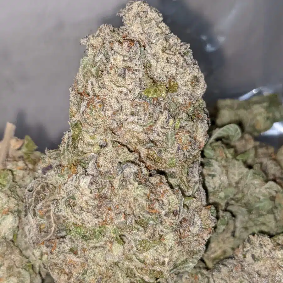 pineapple crack 2 I Pineapple Crack