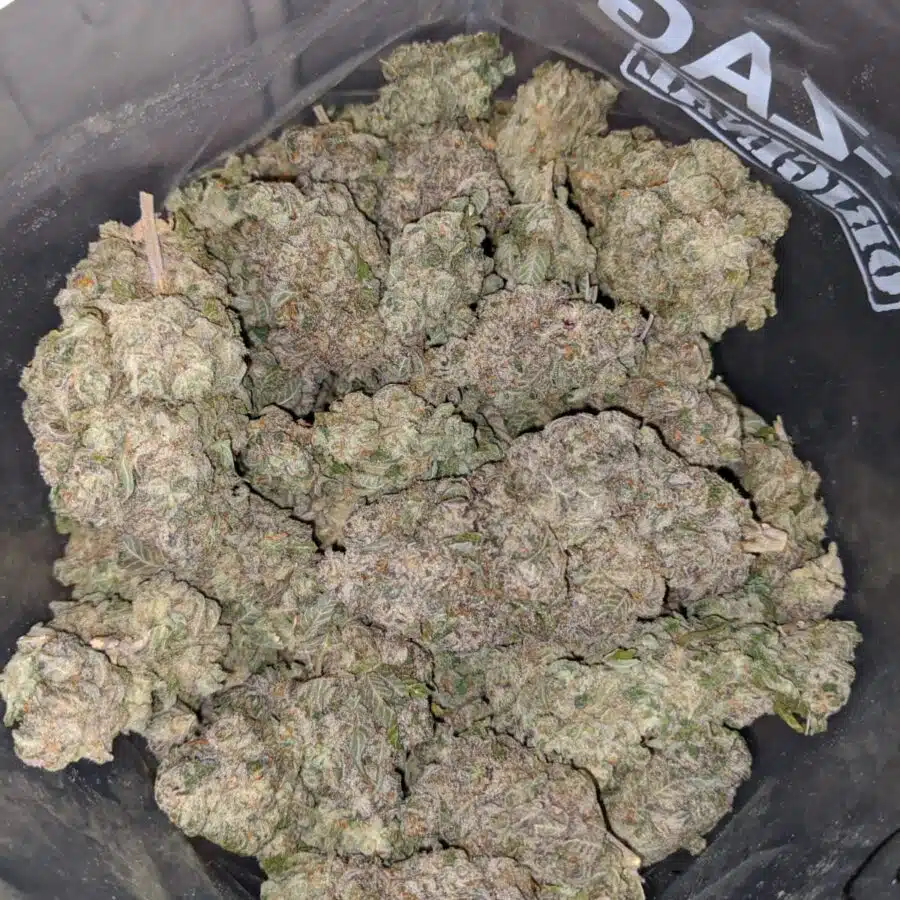 pineapple crack 3 I Pineapple Crack