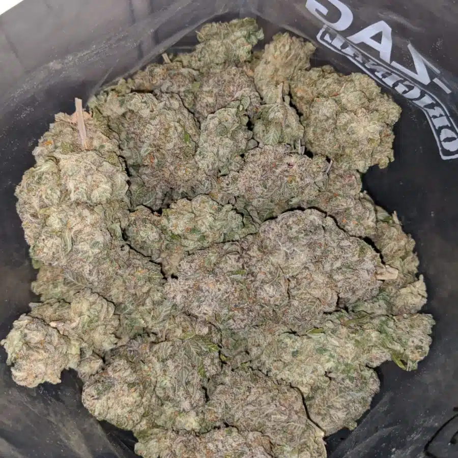 pineapple crack 4 I Pineapple Crack