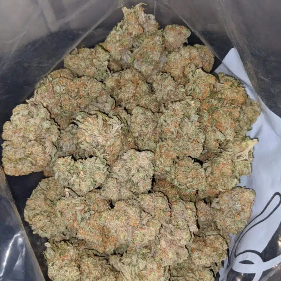 platinum mendo cookies 3 I Platinum Mendo Cookies