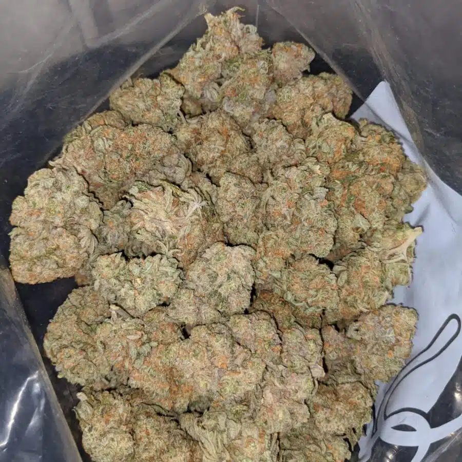 platinum mendo cookies 4 I Platinum Mendo Cookies