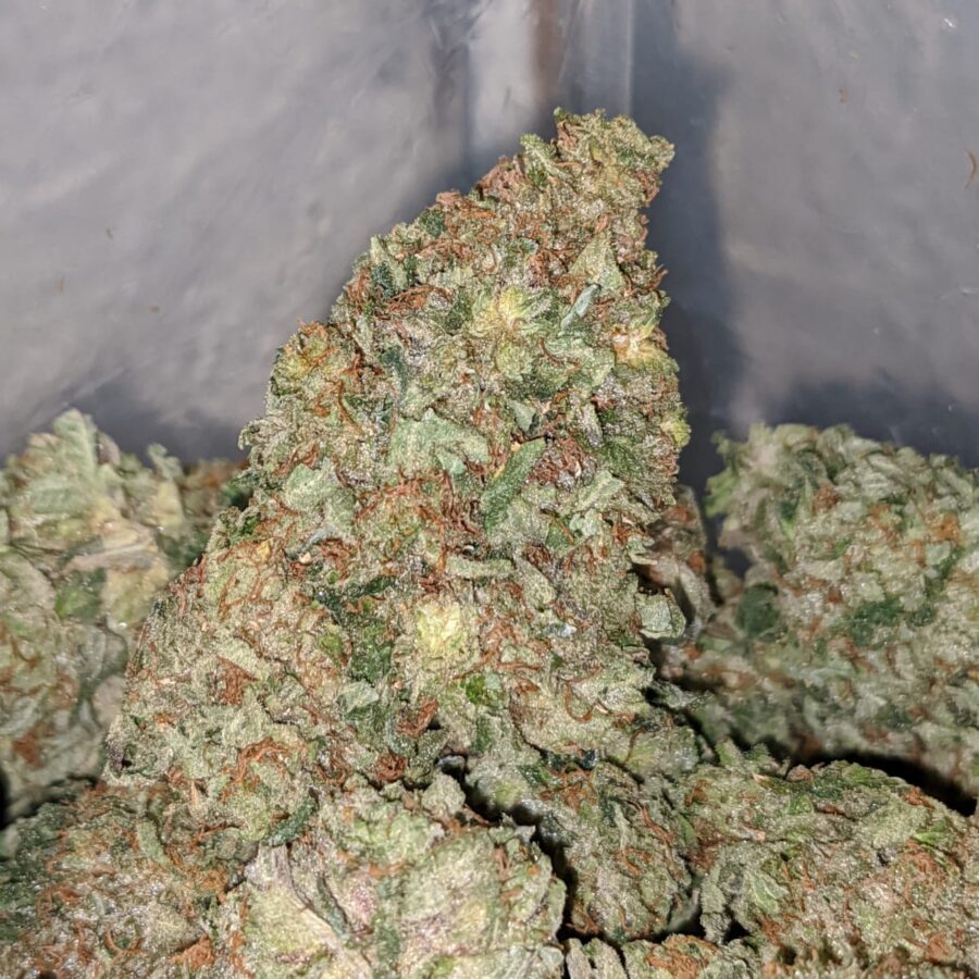 pre 98 bubba 1 I Pre 98 Bubba