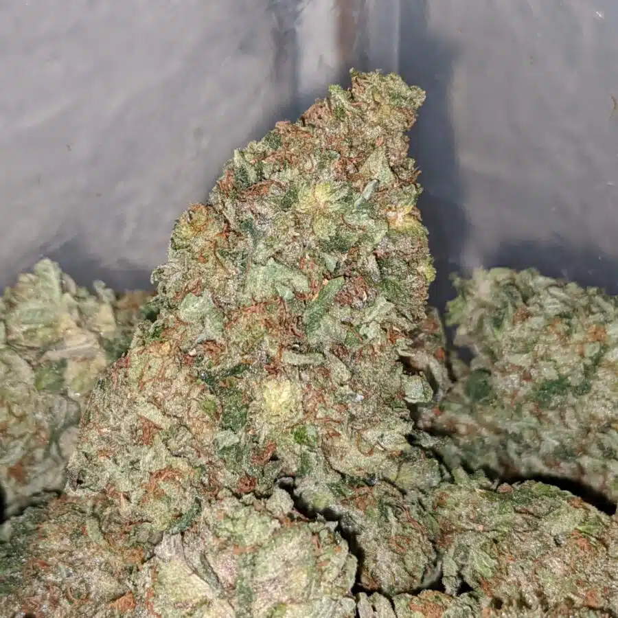 pre 98 bubba 1 I Pre 98 Bubba