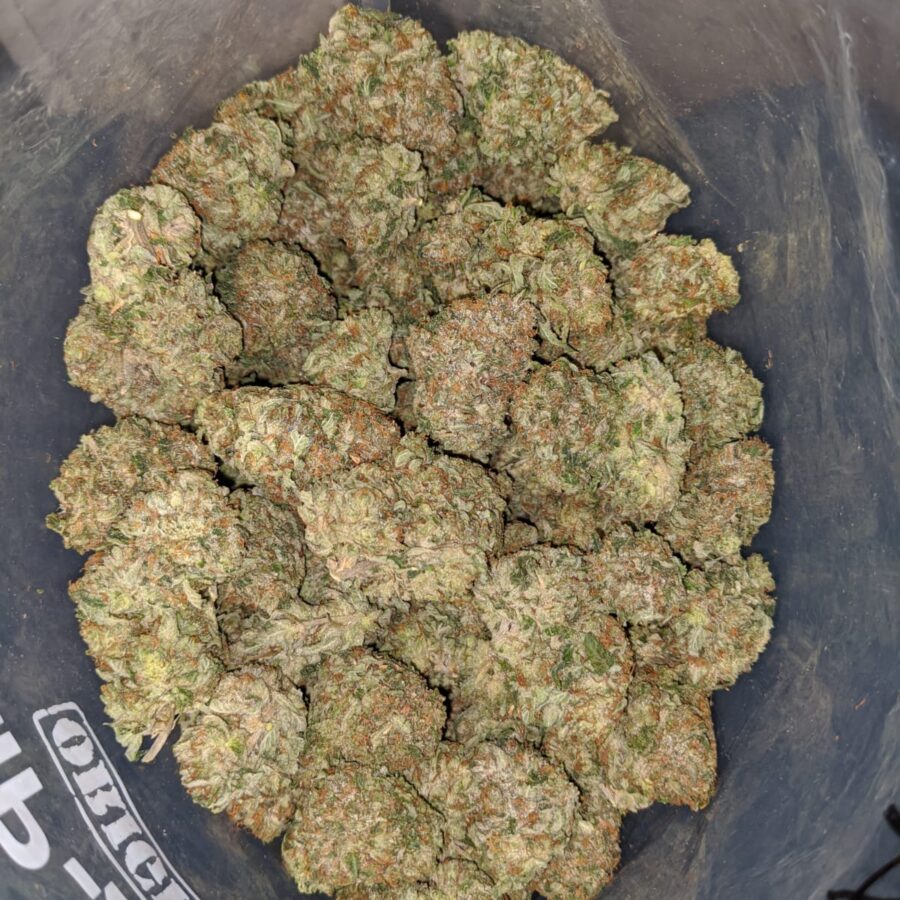 pre 98 bubba 3 I Pre 98 Bubba