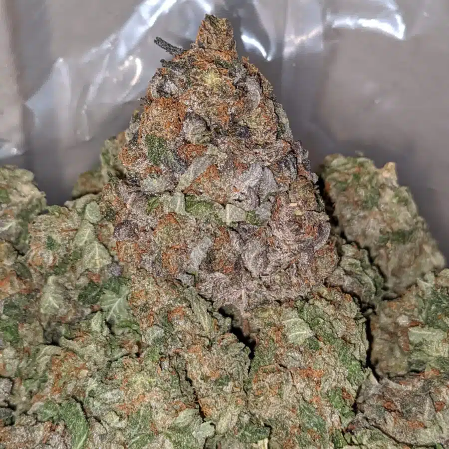 purple cream dod 2 I Purple Cream - *Deal Of The Day*