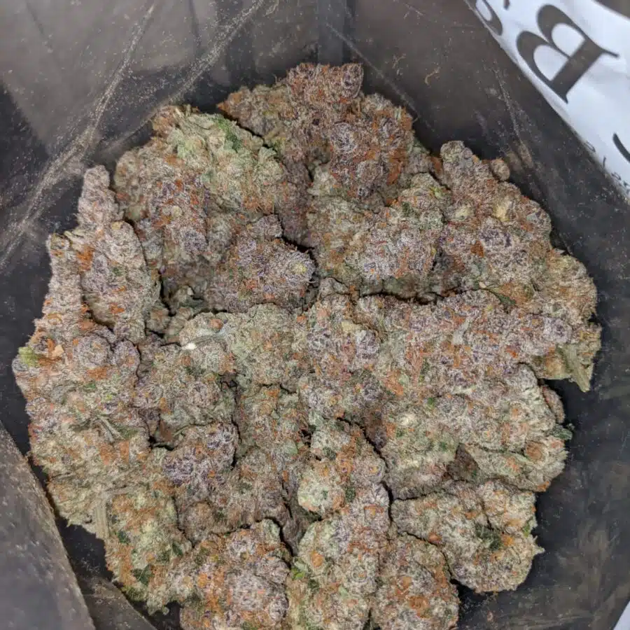 slurricane aaa 4 I Slurricane AAA+