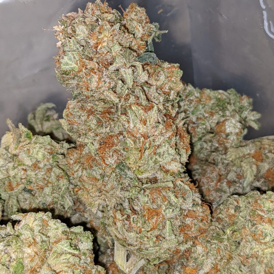 tonys cali kush 2 I Tony's Cali Kush